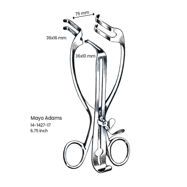 14-1427-17-Mayo-Adams-Self-Retaining-Retractor-–-6.75-Inch.png Mayo Adams Self-Retaining Retractor – 6.75 Inch