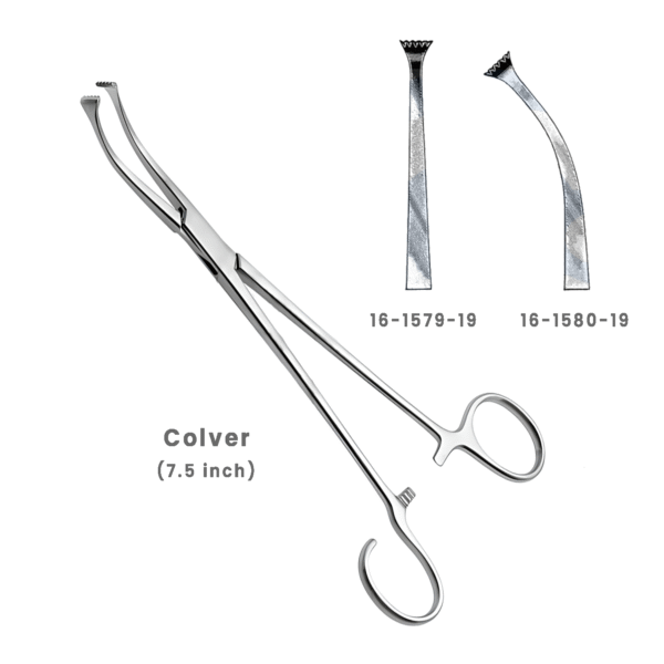 Colver Throat Instruments – Tonsil Seizing Forceps