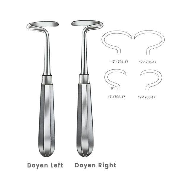 17-1702-17-Doyen-Rib-Raspatory-–-Left-Right-Precision-Bone-Scraping-Rib-Elevation.png Doyen Rib Raspatory – Left & Right | Precision Bone Scraping & Rib Elevation