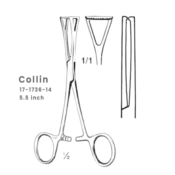 17-1736-14-Collin-Thoracic-Forceps-–-Precision-Surgical-Instrument-5.5-Inch.png Collin Thoracic Forceps – Precision Surgical Instrument (5.5 Inch)