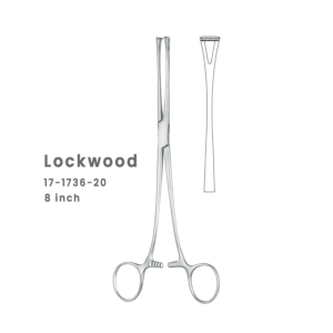 Lockwood Thoracic Forceps – Precision Surgical Instrument (8 Inch)