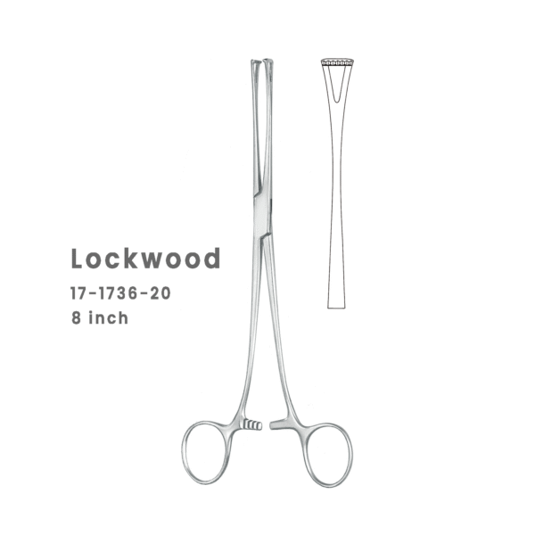 17-1736-20-Lockwood-Thoracic-Forceps-–-Precision-Surgical-Instrument-8-Inch.png Lockwood Thoracic Forceps – Precision Surgical Instrument (8 Inch)