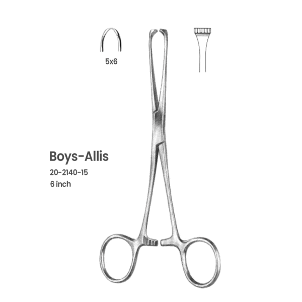 Boys-Allis Tissue Forceps – 6inch