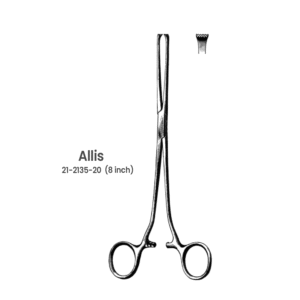 Allis Tissue Forceps – 8inch