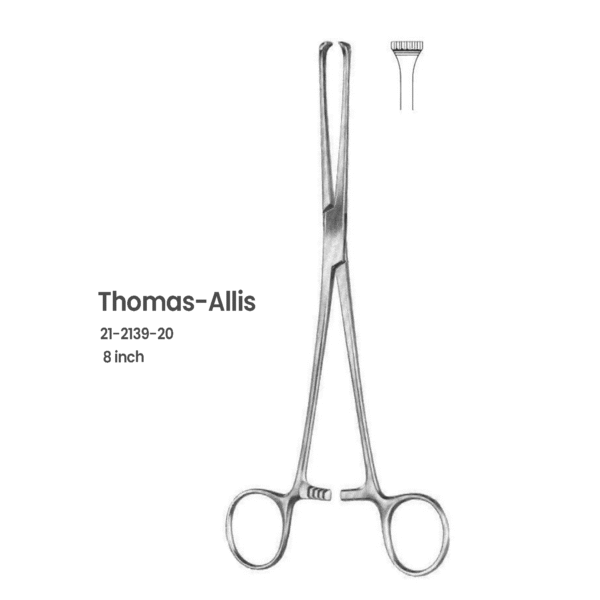 Thomas-Allis Tissue Forceps – 8inch