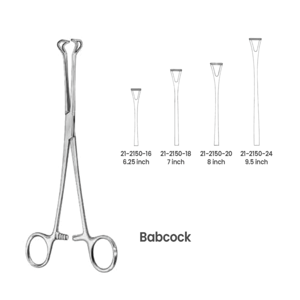 Babcock Intestinal and Tissue Forceps