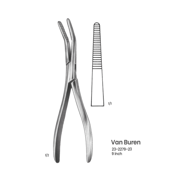 Van Buren Bone Holding Forceps