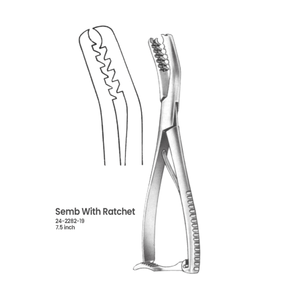 24-2282-19 Semb Bone Holding Forceps with Ratchet Semb Bone Holding Forceps with Ratchet