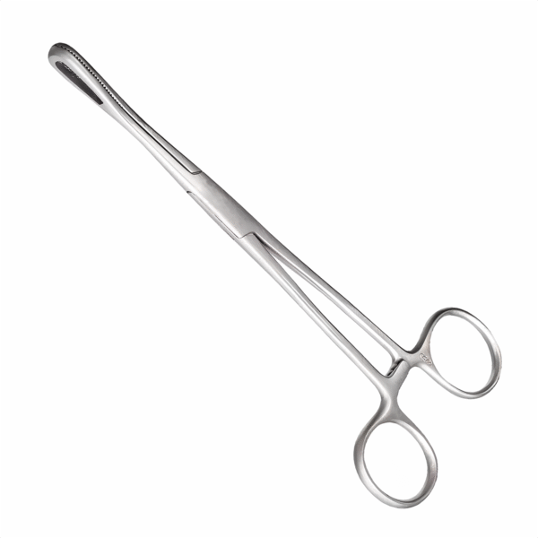 Rampley Sponge Forceps
