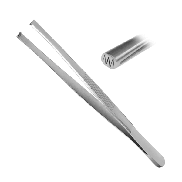 Tissue Forceps with 3x4 and 4x5 Teeth