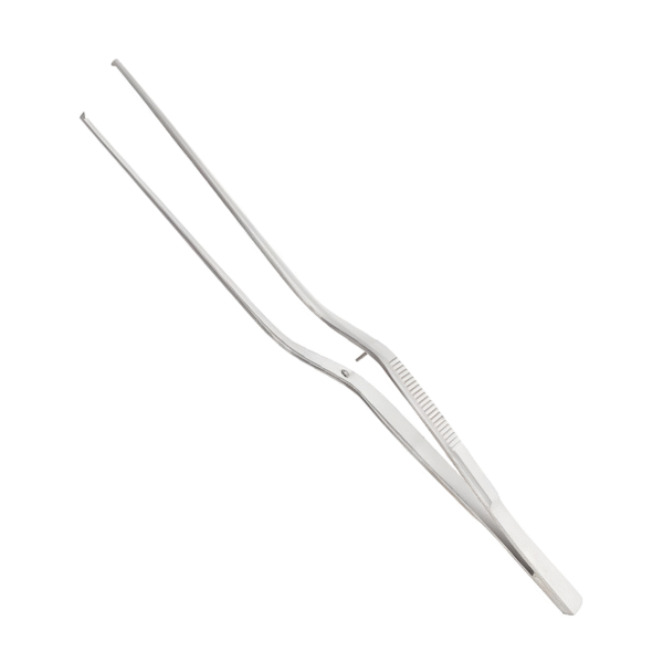 7-396-17-Taylor-Tissue-Forceps-3.png Taylor Tissue Forceps