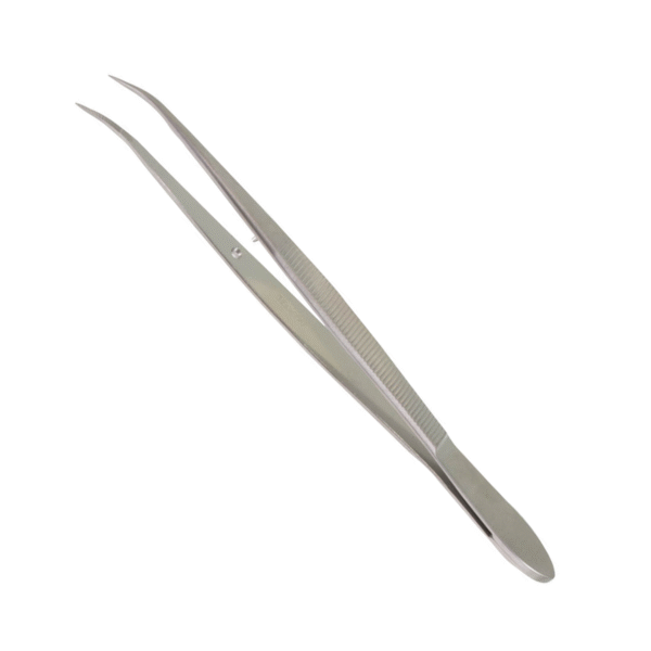 Plain Splinter Forceps - Curved
