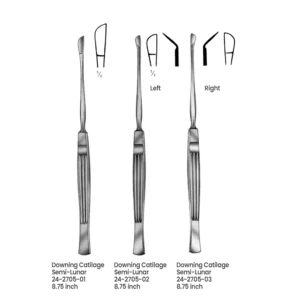 Downing Cartilage Semi-Lunar