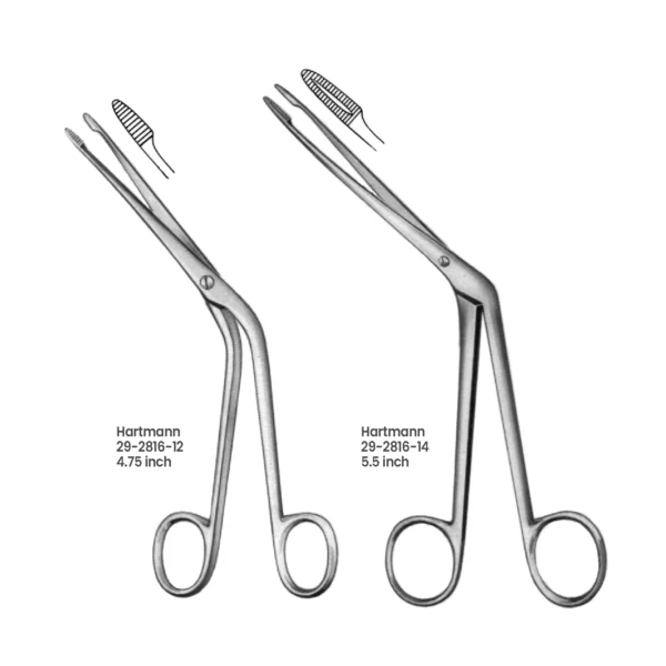 29-2816-12 Hartmann Ear Forceps Hartmann Ear Forceps