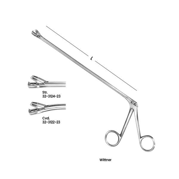 Wittner Uterine Biopsy Forceps